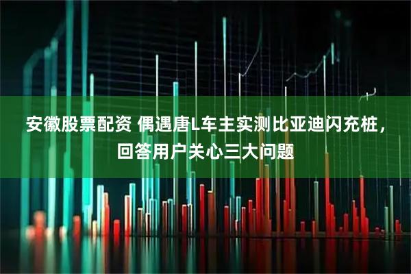 安徽股票配资 偶遇唐L车主实测比亚迪闪充桩，回答用户关心三大问题